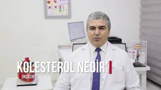 Kolesterol Nedir? Neden Yükselir?